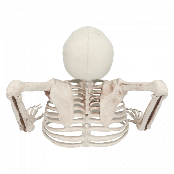 Squelette Sortant du Sol 20 cm – Décoration Halloween