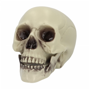 Tête de Mort Décorative 15 x 20 x 16 cm – Halloween
