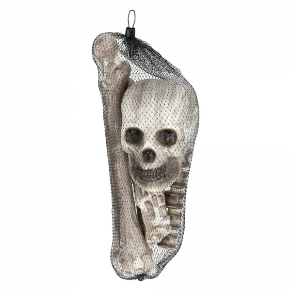 Lot de 6 Têtes de Mort et Os – Décoration Halloween