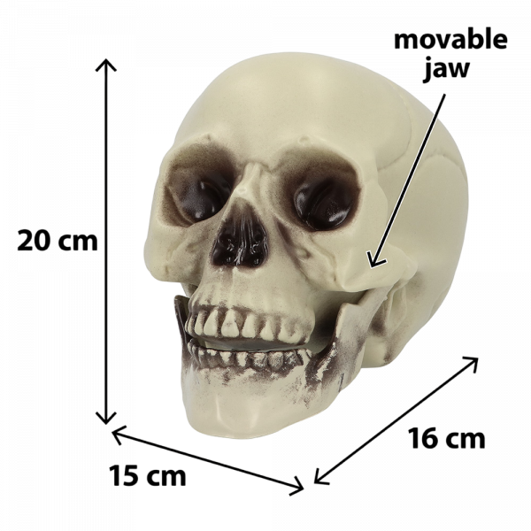 Tête de Mort Décorative 15 x 20 x 16 cm – Halloween