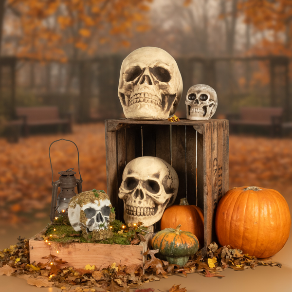 Tête de Mort Décorative 15 x 20 x 16 cm – Halloween