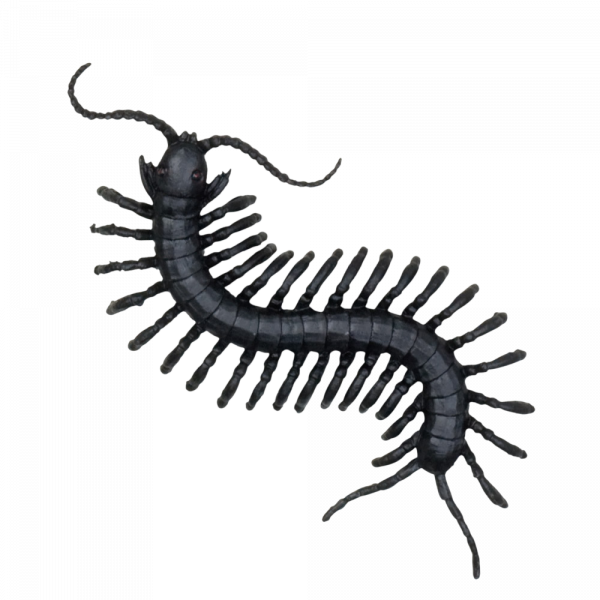 Lot de 6 Créatures Effrayantes – Décoration Halloween