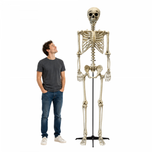 Squelette Géant 240 cm – Décoration Halloween