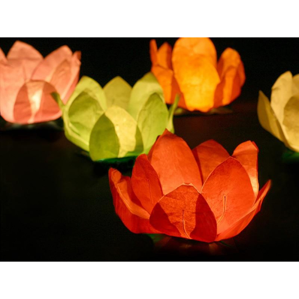 10 Lanternes Flottantes Biodégradables - Pour étang, Piscine, Mariage Ou Fêtes Extérieures