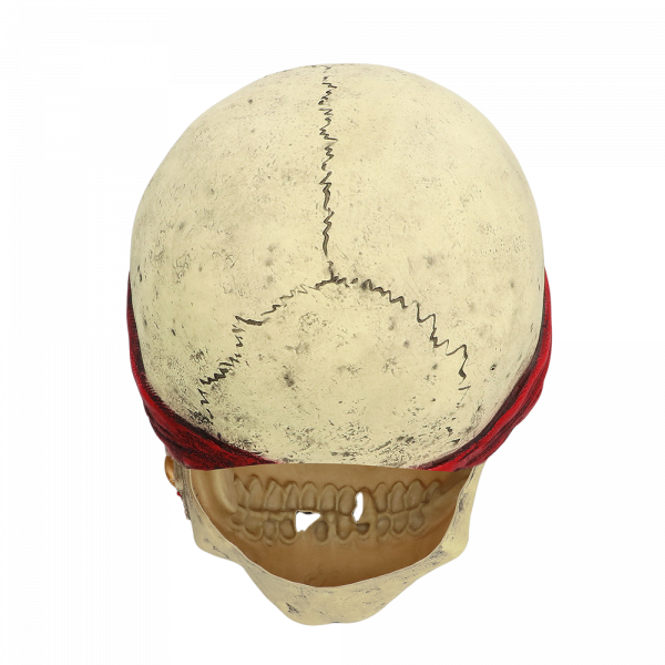 Masque Latex Pirate – Déguisement Halloween