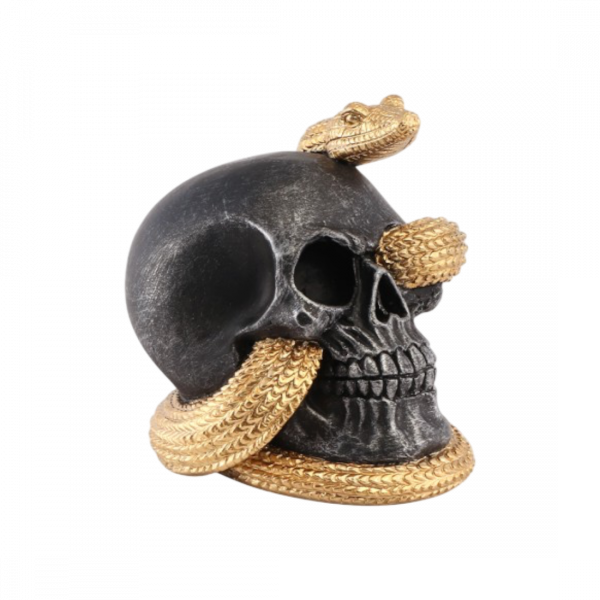 Crâne avec Serpent Doré 14,5 cm – Décoration Halloween