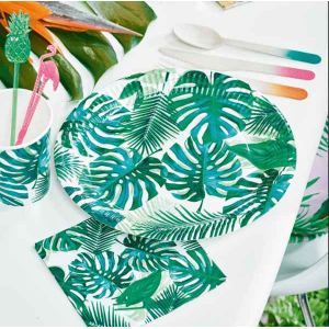 assiette jetable 2