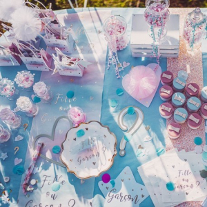 assiette en carton gender reveal 2