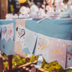 guirlande gender reveal 2