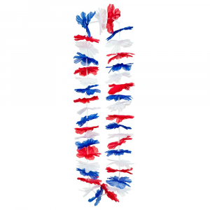 Collier hawaien tricolore France