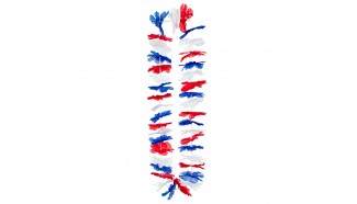 Collier hawaien tricolore France