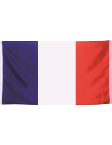 Mini pics drapeau français - lot de 50