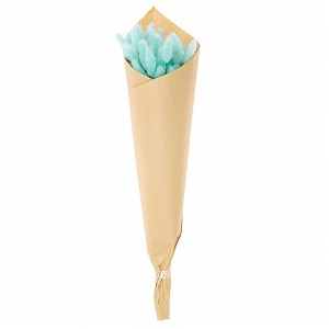 lagurus turquoise 2