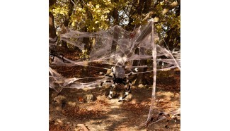 toile araignée Halloween