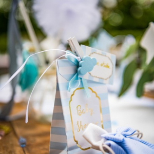 pochette bleu et blanche 2