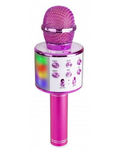 micro karaoke rose