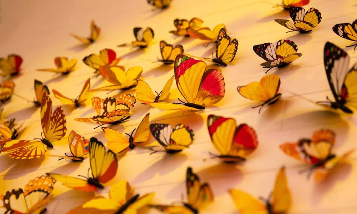 65 meilleures idées sur papillon thème  deco anniversaire, décoration  anniversaire, decoration fete