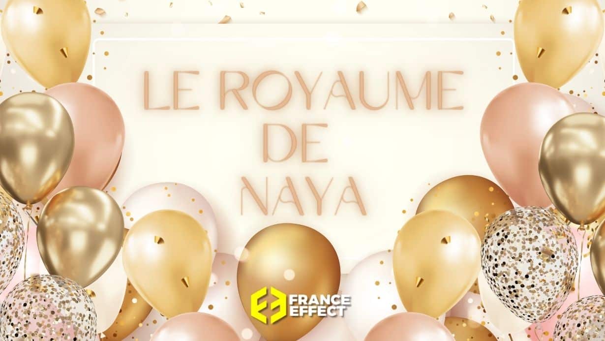 Id Es D Co Pour Un Anniversaire Th Me Le Royaume De Naya