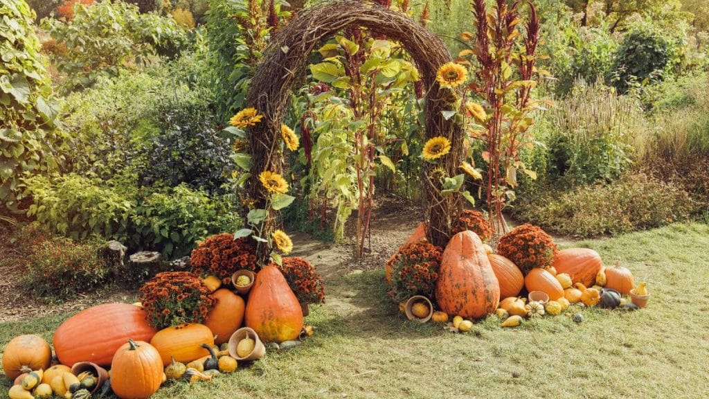 décorations de jardin halloween